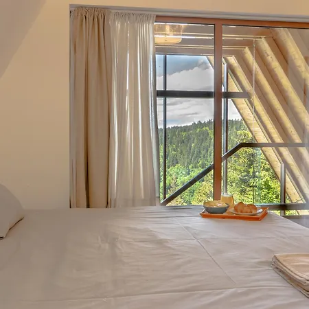 Chalé Sofia - Mountain